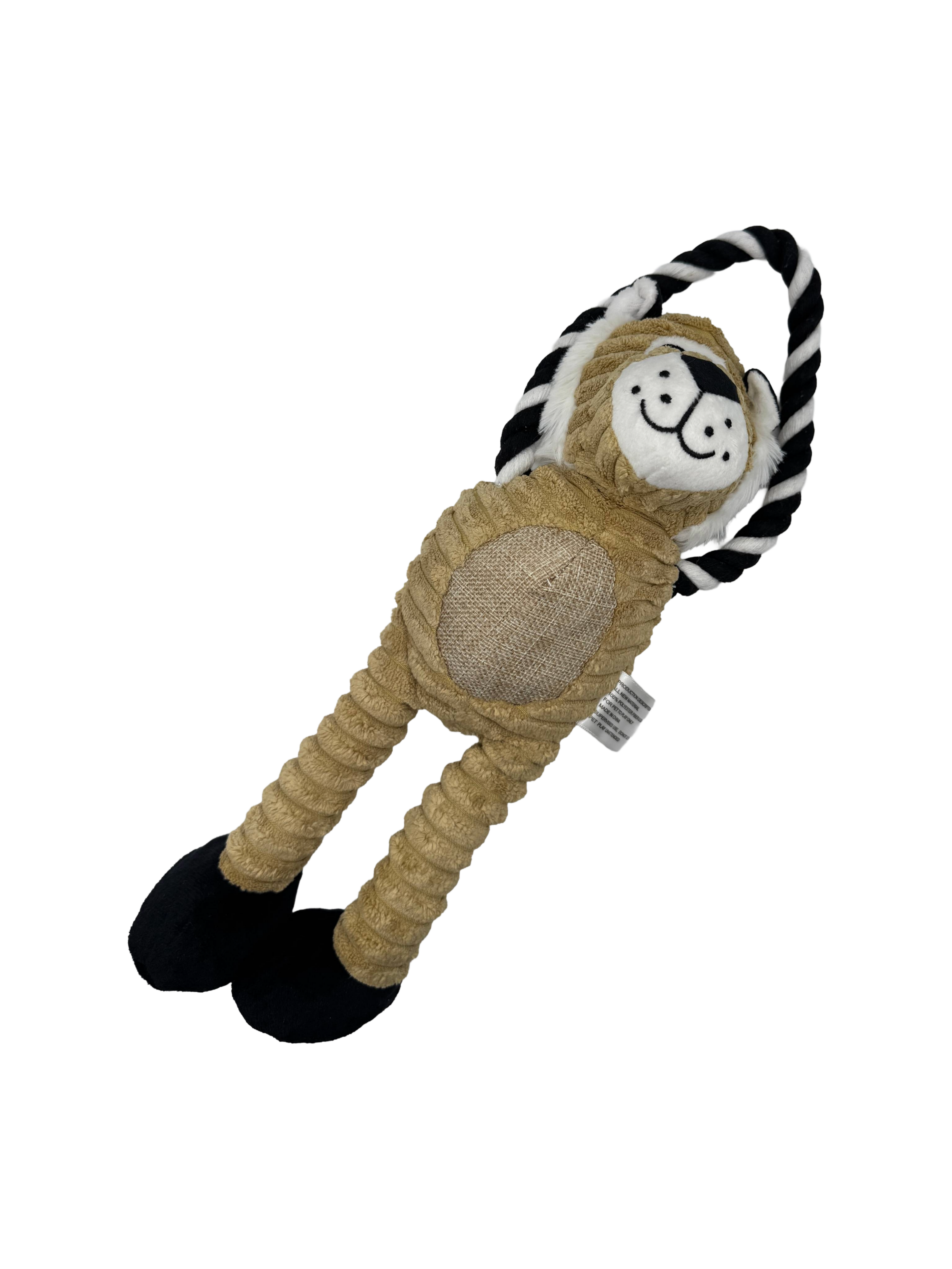 King of the Jungle Lion