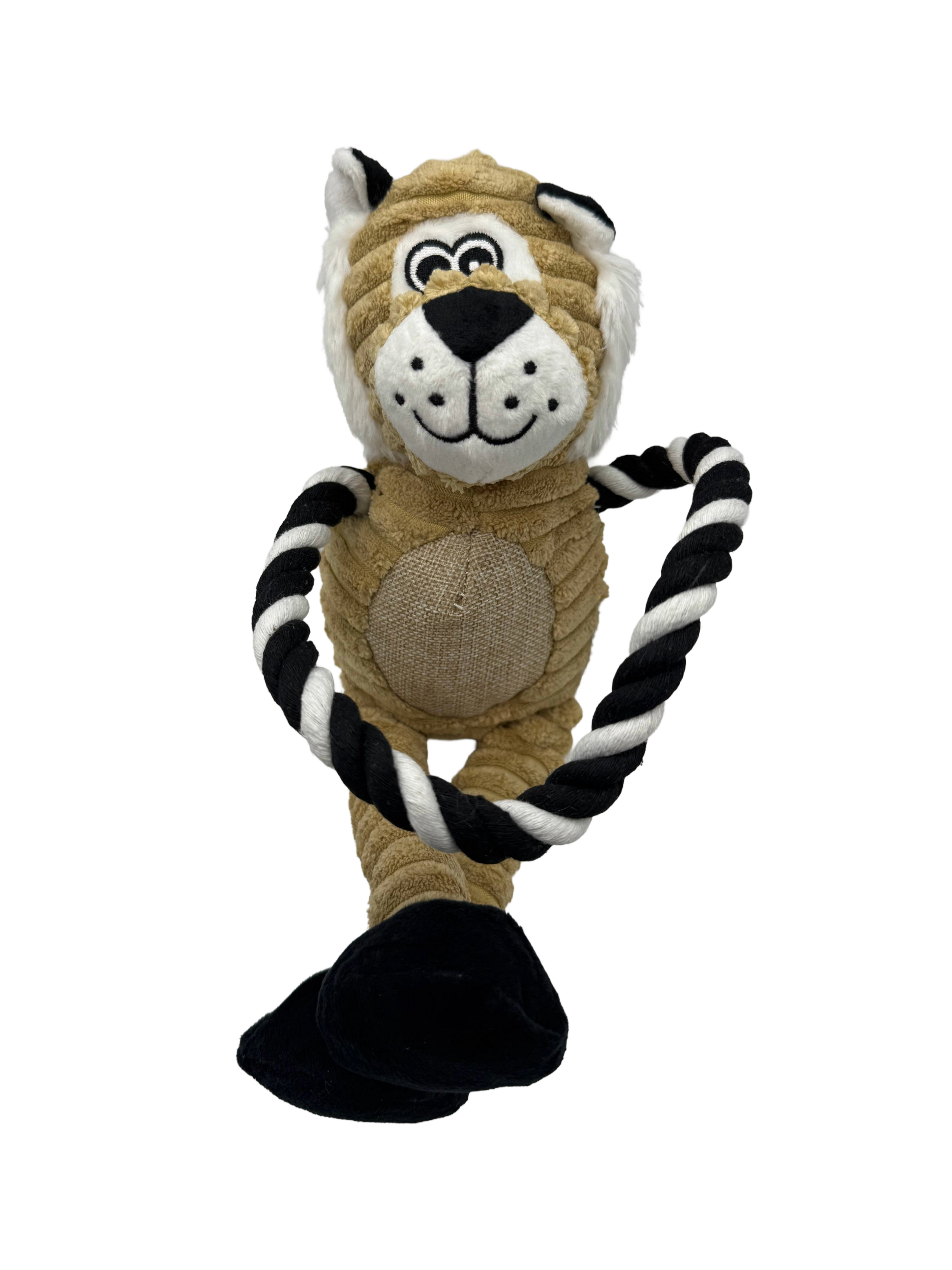 King of the Jungle Lion